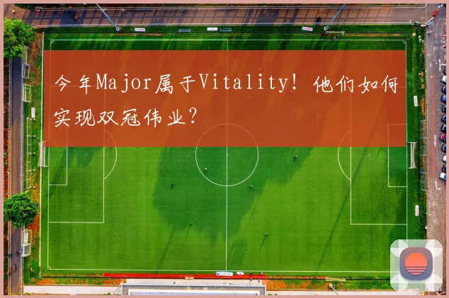 今年Major属于Vitality！他们如何实现双冠伟业？