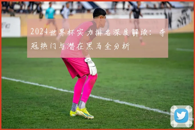 2024世界杯实力排名深度解读：夺冠热门与潜在黑马全分析